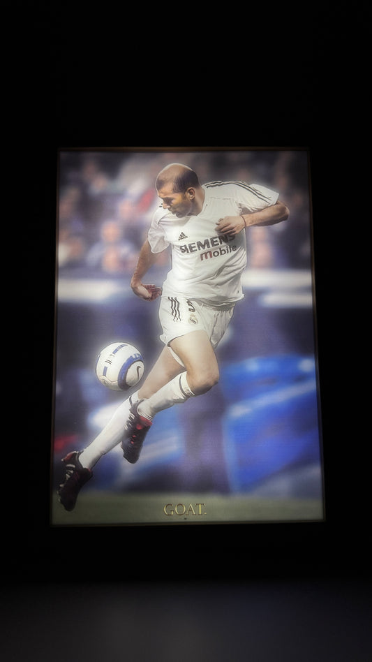 Zinedine Zidane Madrid Frame
